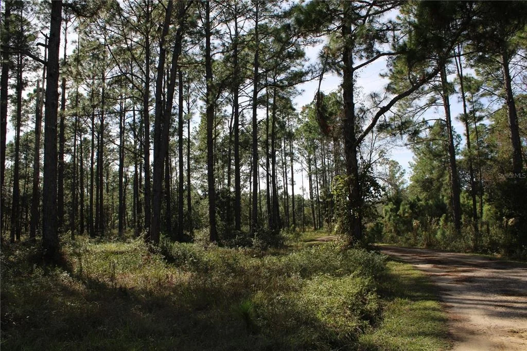 Photo of DUBOISE DRIVE