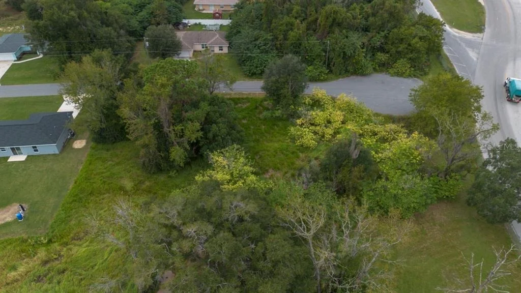 Photo of LAUREL CT