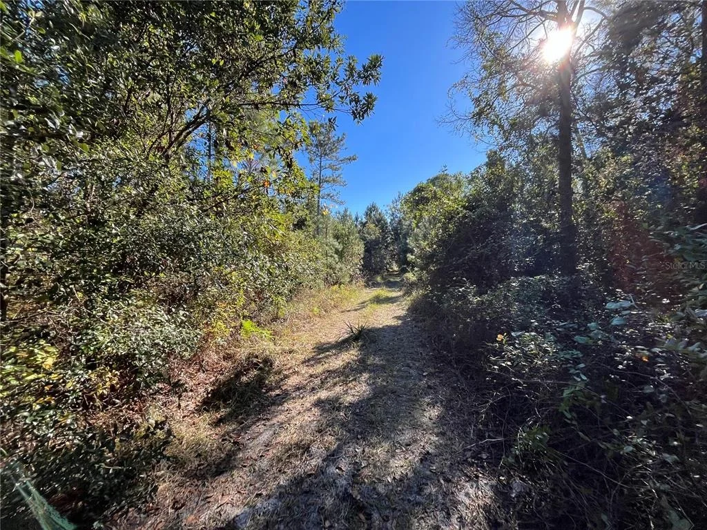 Photo of 223 MOURNING DOVE ROAD