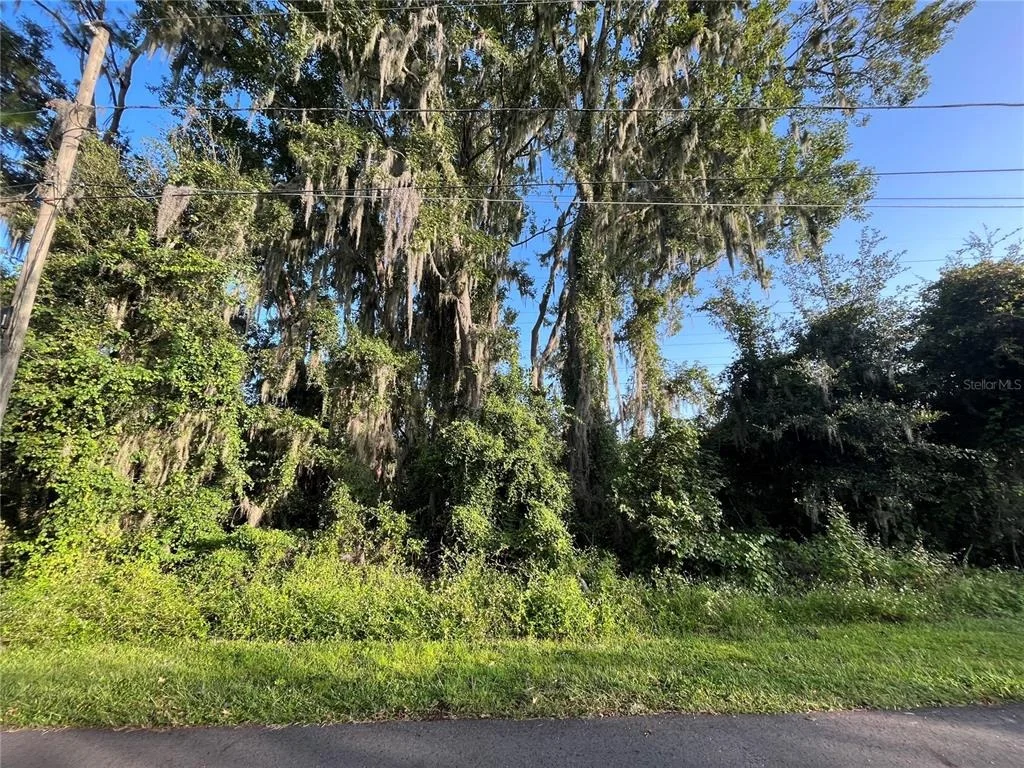 Photo of 262 TOMS ROAD