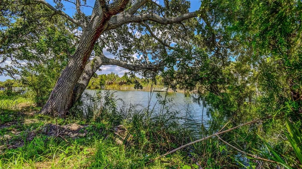 Photo of Unit LOT10 at 0 SEA GRAPE DRIVE