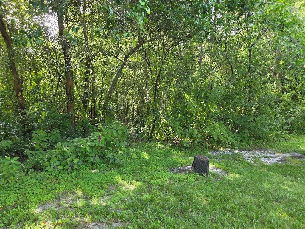 Photo of 109 BYRSONIMA CIRCLE