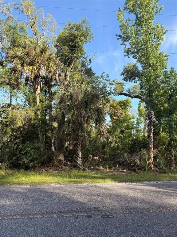 Photo of 10274 W OZELLO TRAIL
