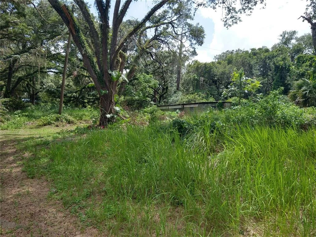 Photo of 10616 SHADY DRIVE