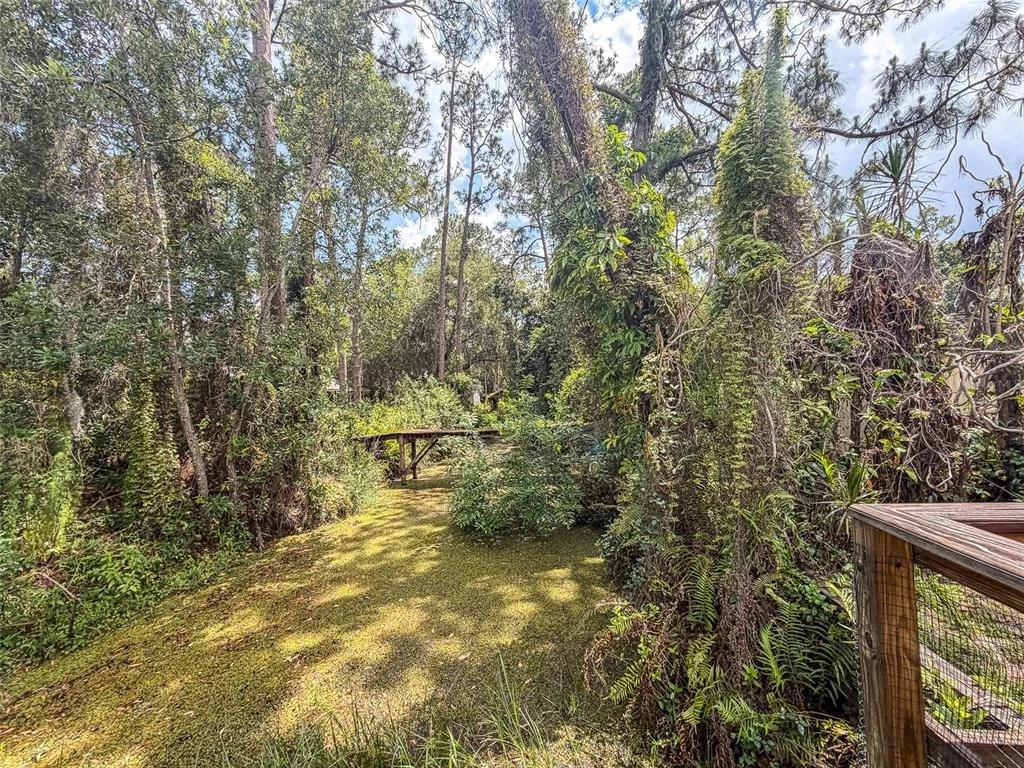 Photo of 305 CLOVERLEAF ROAD