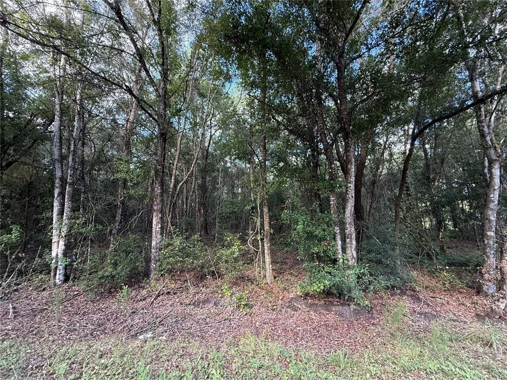 Photo of 1166 HONEYTREE STREET