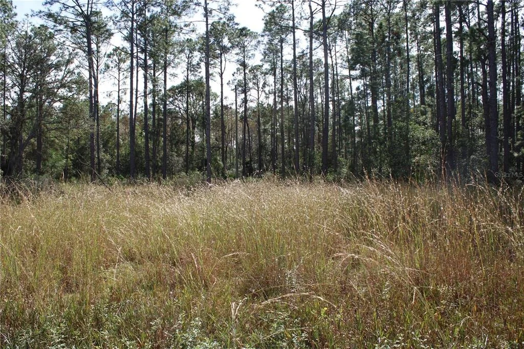 Photo of DUBOISE DRIVE