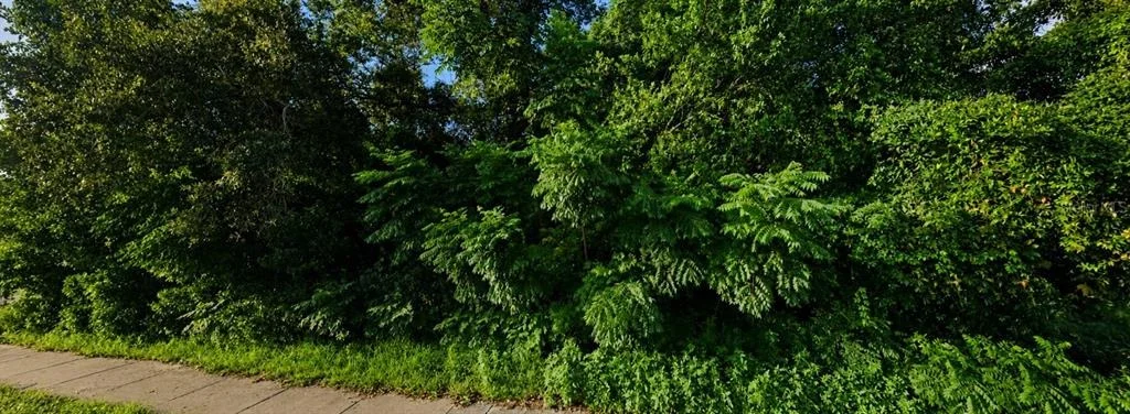 Photo of SPRING HILL DR DRIVE