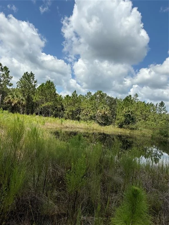 Photo of 60 NATALIES LANE