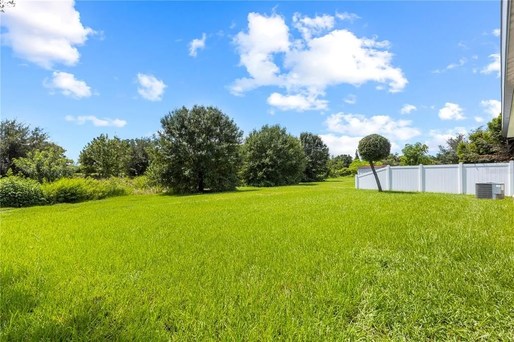 Photo of 10527 PARK MEADOWBROOKE DRIVE
