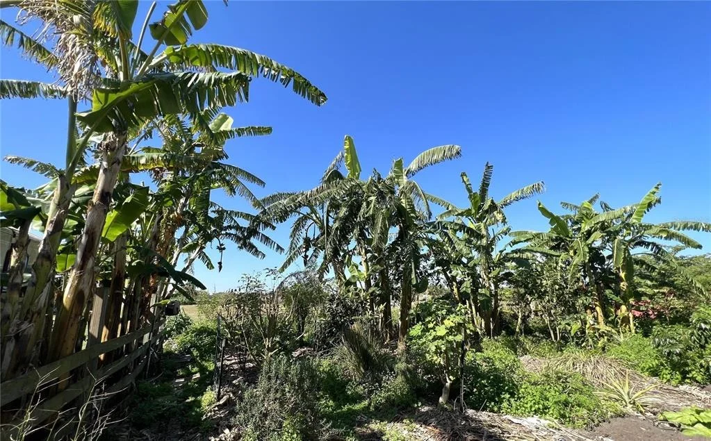Photo of 0 DAVIS ROAD