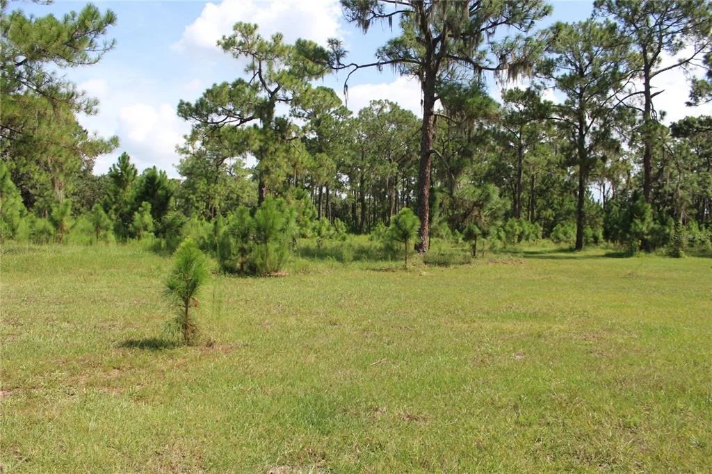 Photo of 0 US HIGHWAY 98 W