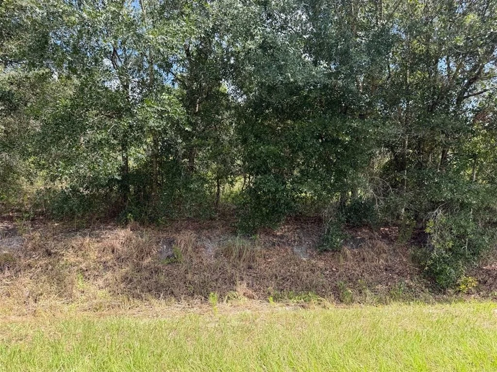 Photo of 21971 NW 260TH STREET