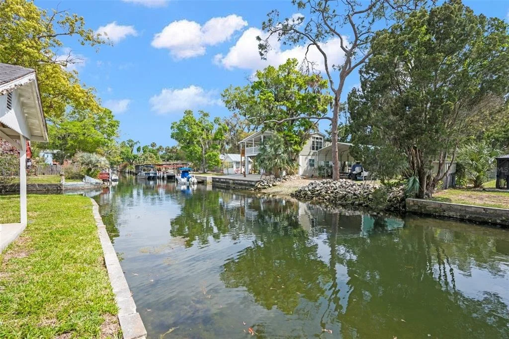 Photo of TEAL DRIVE