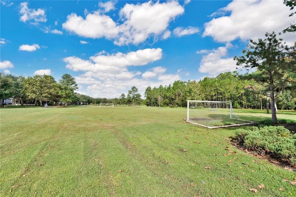Photo of 6867 SUNDROP STREET