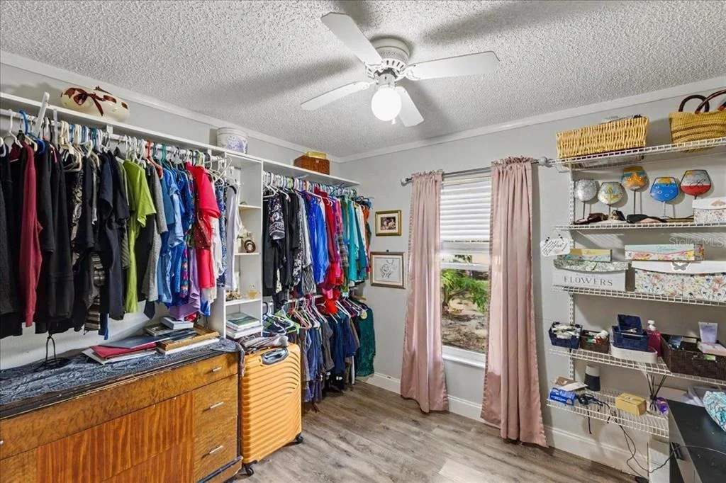 Photo of 2021 INDIA PALM DRIVE