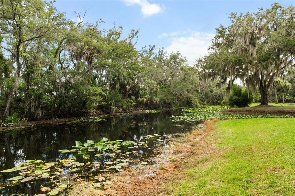Photo of 7938 JACKSONS RIVER ROAD