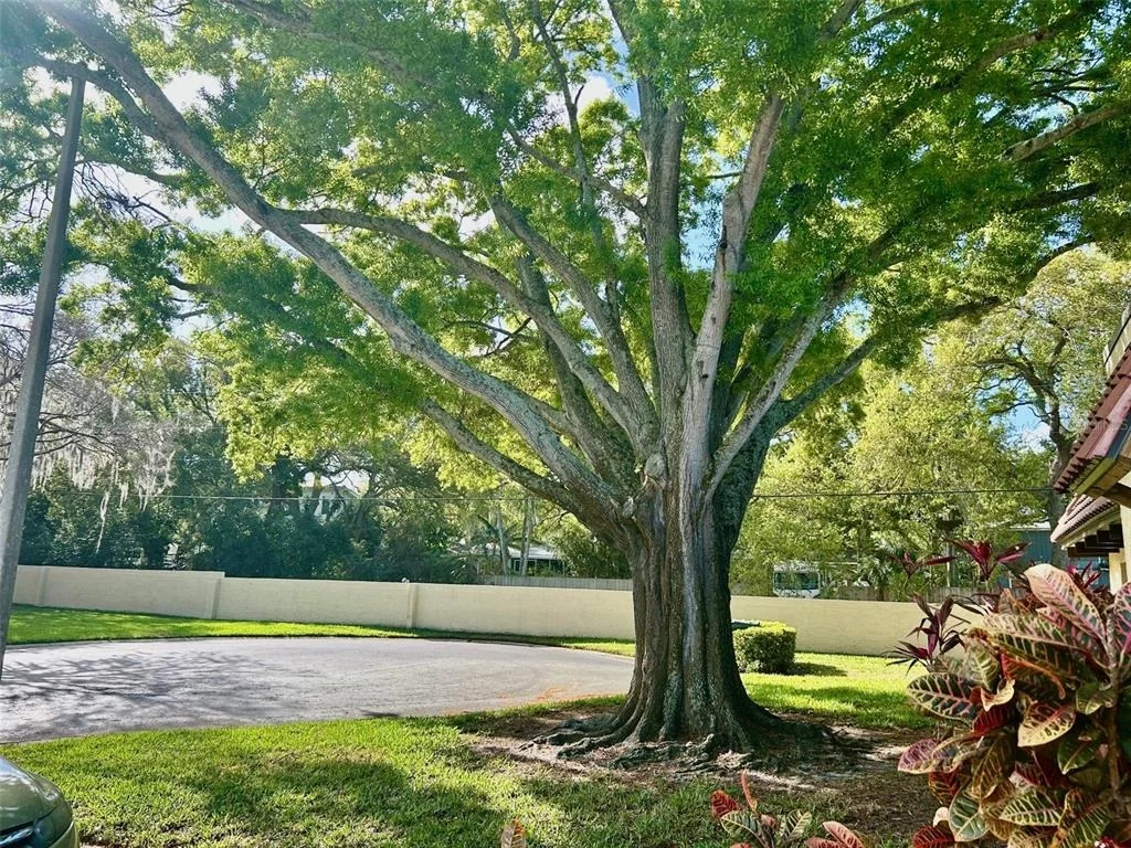 Photo of Unit 18C at 1701 PINEHURST ROAD