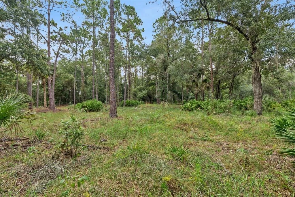 Photo of 14133 LUND DRIVE