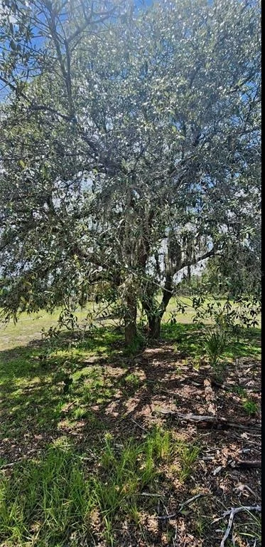 Photo of 562 LIBBY ROAD