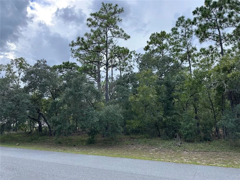 Photo of 5212 N PEPPERMINT DRIVE