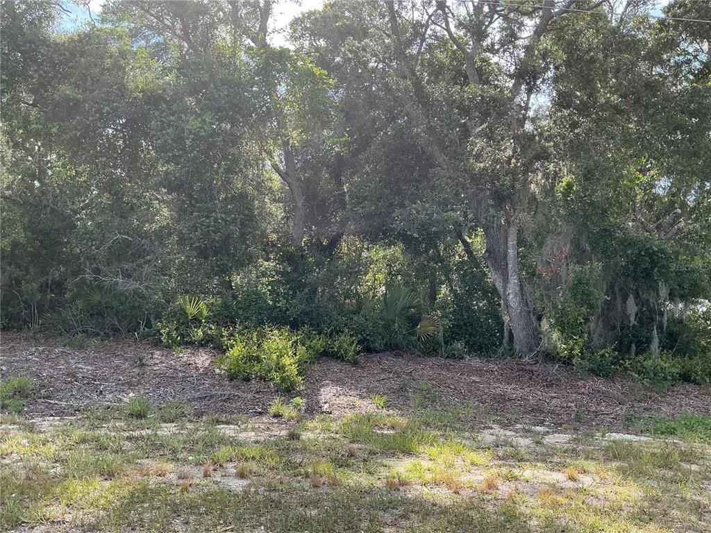 Photo of OLIVE ROAD