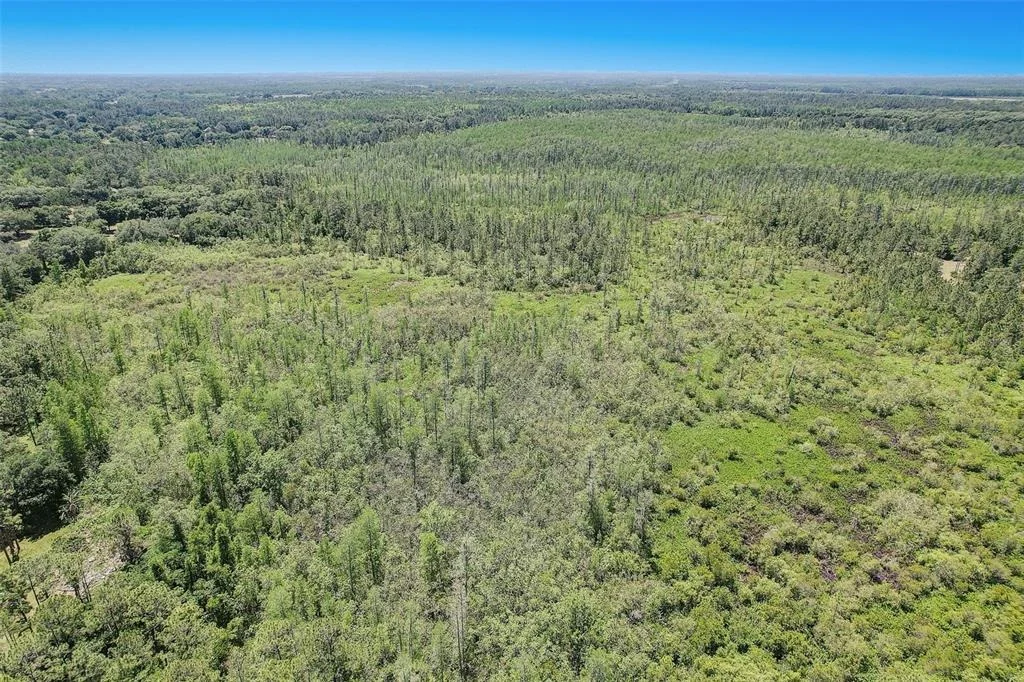 Photo of 7119 STATE ROAD 33