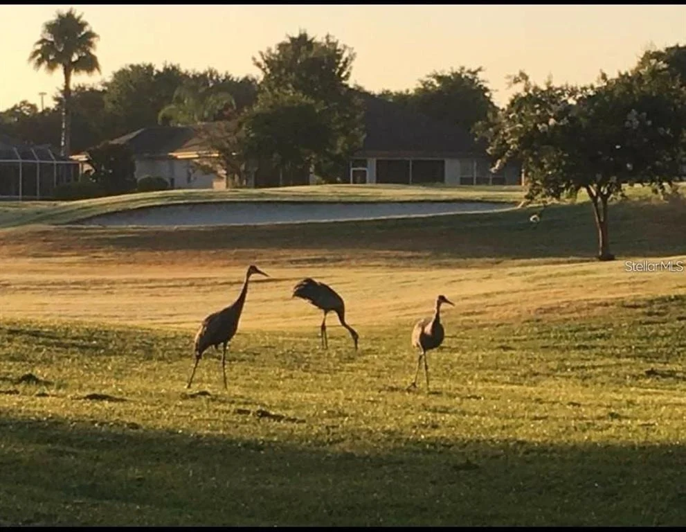 Photo of 13857 DEL WEBB BOULEVARD