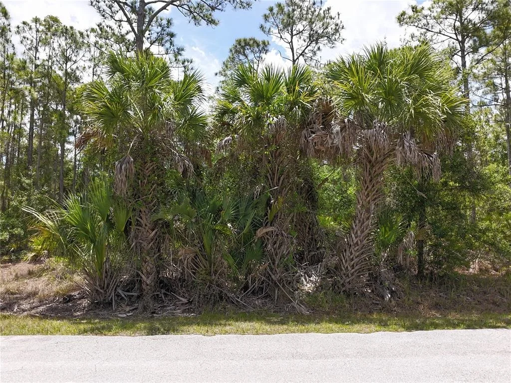 Photo of 12226 RIPPLE DRIVE