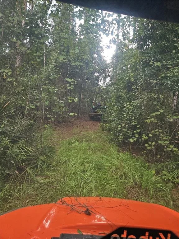 Photo of 1255 BLACK BEAR RANCH TRAIL