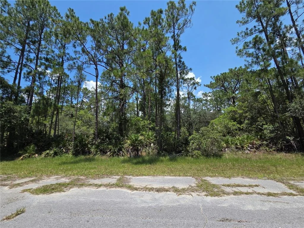 Photo of 0 ALLAMANDA DR