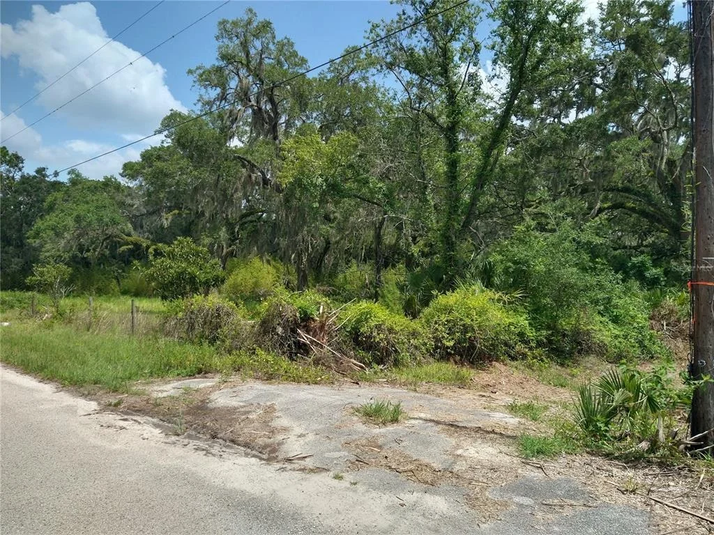 Photo of 10616 SHADY DRIVE