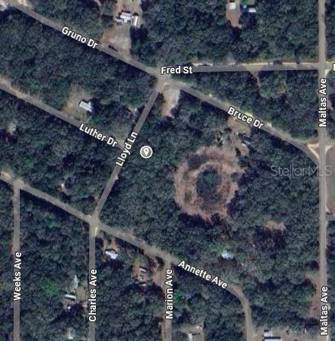 Photo of LLOYD DRIVE