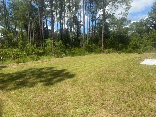 Photo of 1013 ASTON-MARTIN DRIVE
