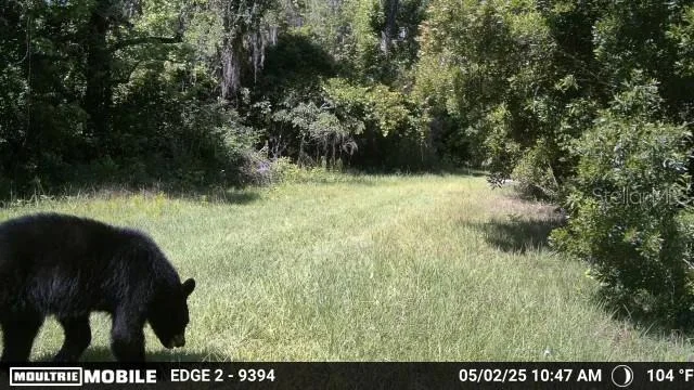 Photo of 11816 SE COUNTY ROAD 234