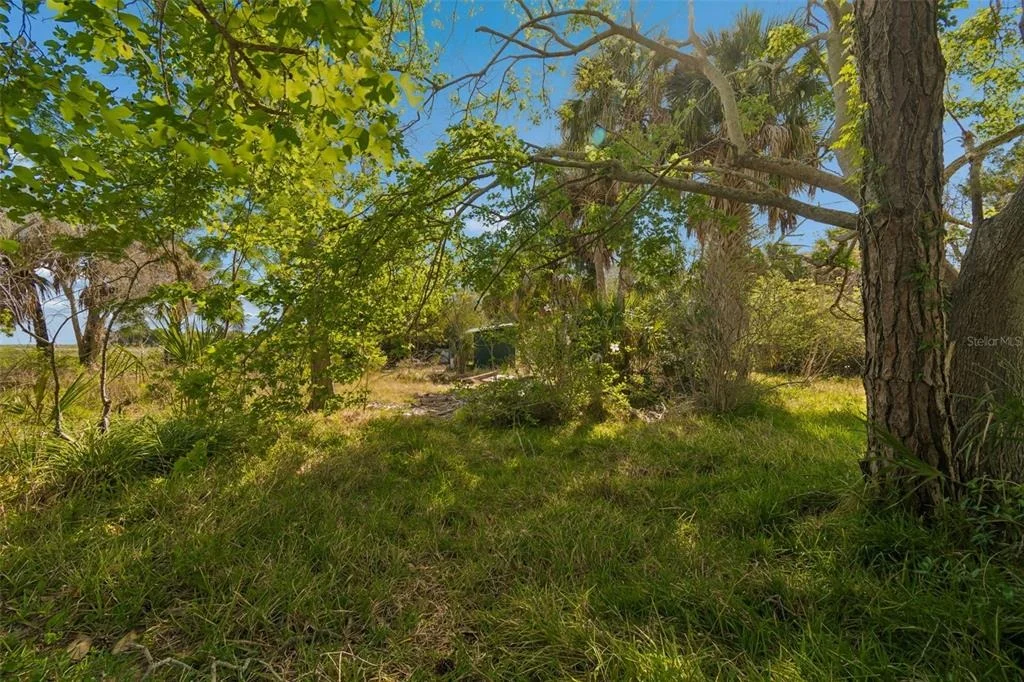 Photo of 10501 PINE ISLAND DRIVE