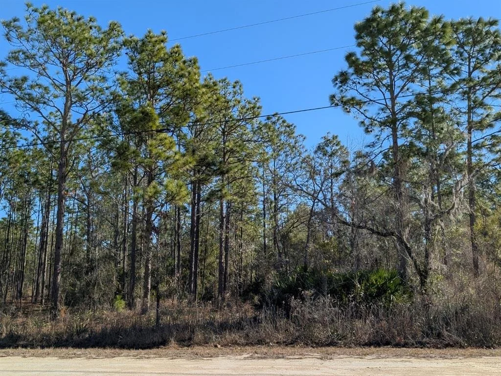 Photo of 15252 COOT ROAD