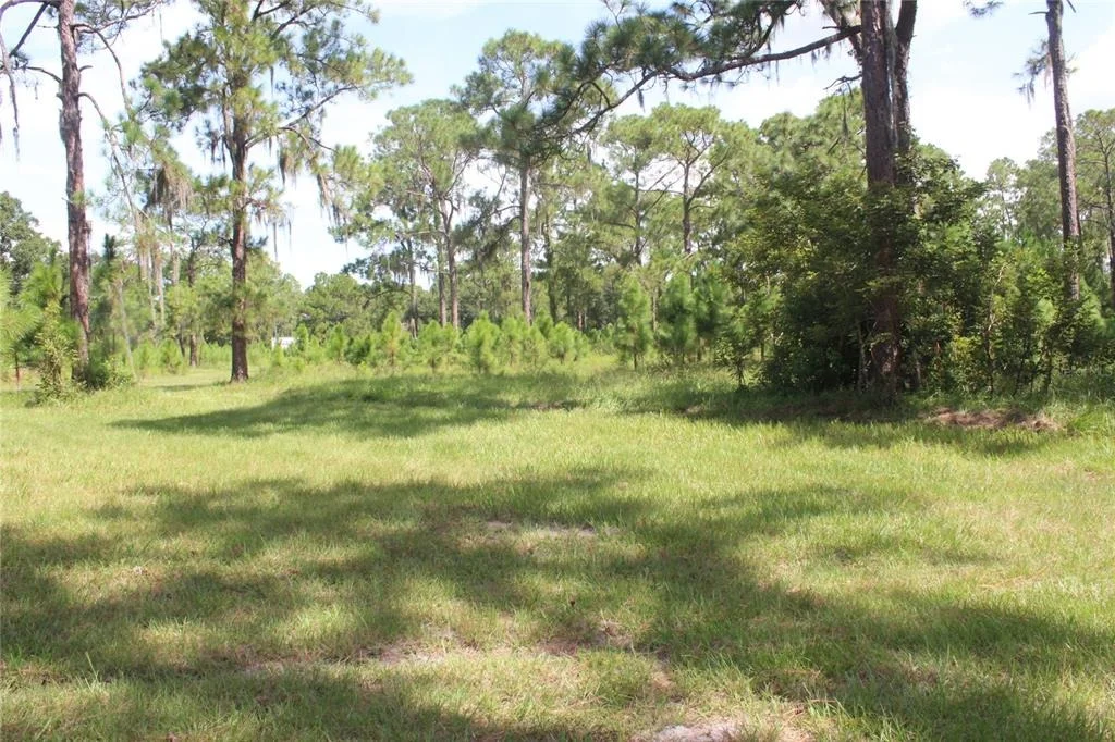 Photo of 0 US HIGHWAY 98 W