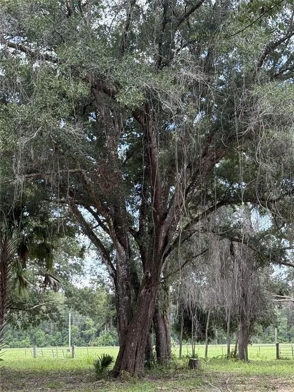 Photo of 620 COCHRAN ROAD