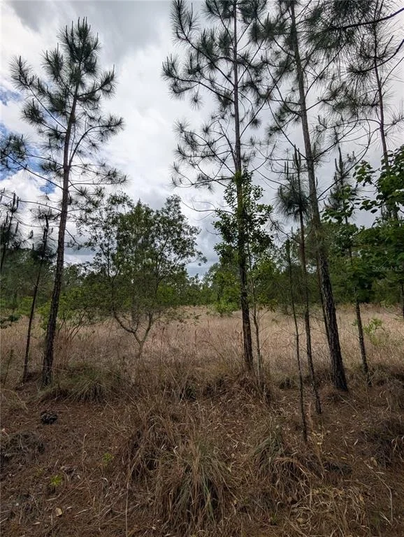 Photo of 38521 ILEX TRAIL