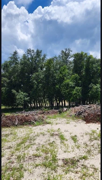 Photo of 562 LIBBY ROAD