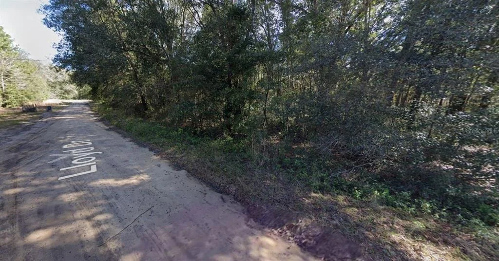 Photo of LLOYD DRIVE