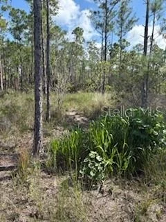 Photo of 37610 OAKLEE ROAD