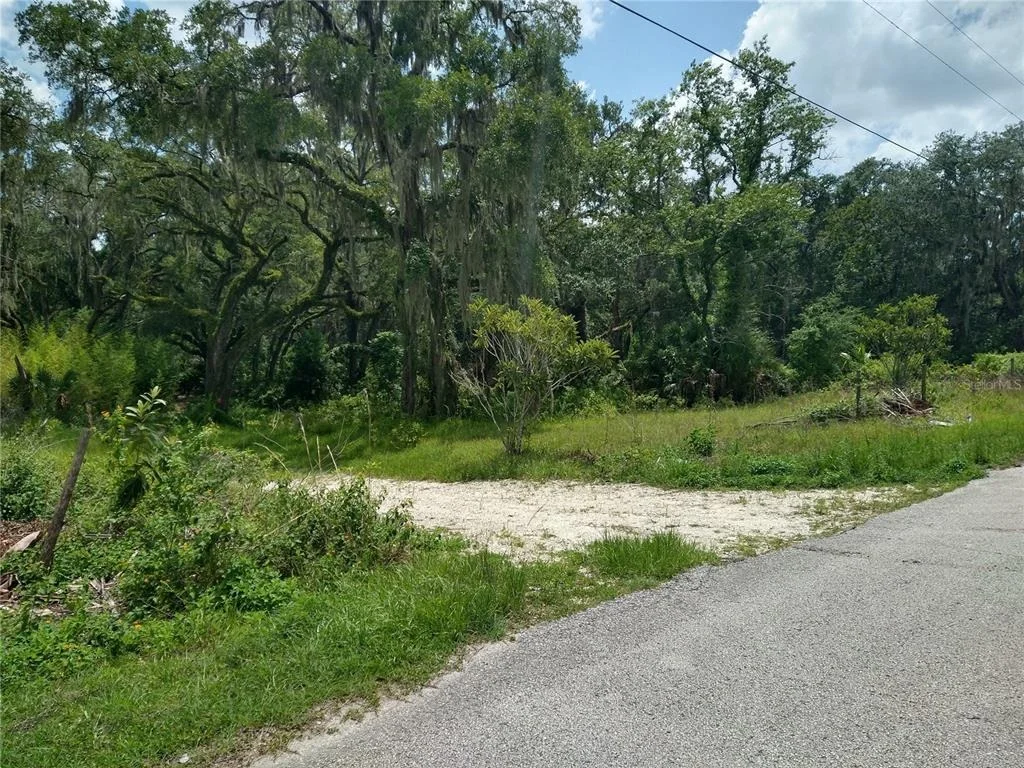 Photo of 10616 SHADY DRIVE