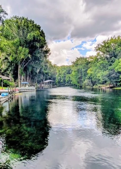 Photo of 11591 MOCKINGBIRD DRIVE