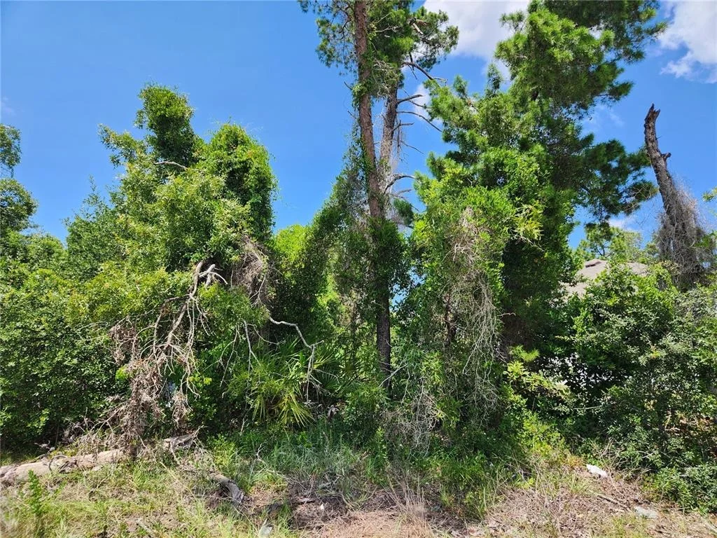 Photo of Unit LOT31 at 6241 MARINER BOULEVARD