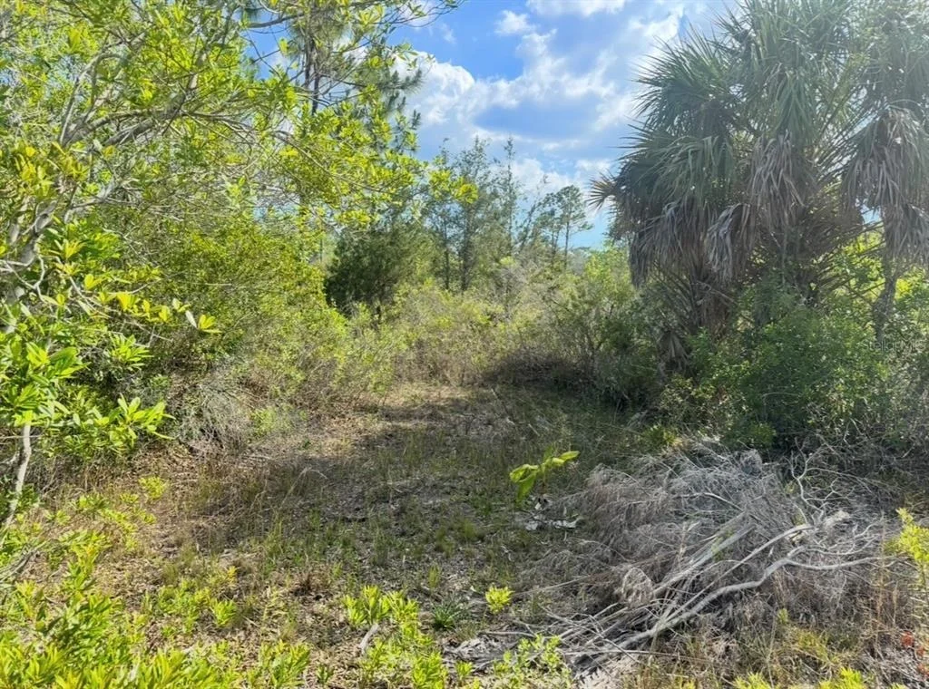 Photo of 18455 QUIET ROAD