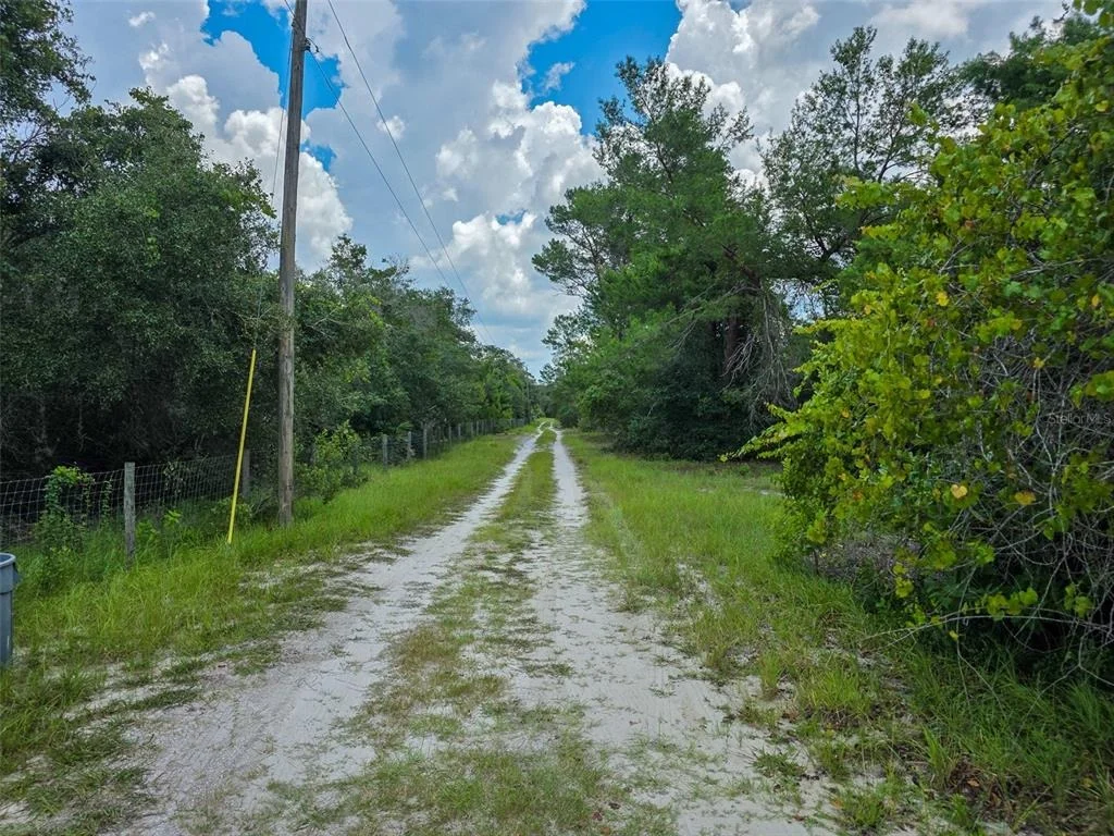 Photo of 340 SAND PINE PLACE