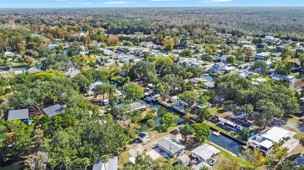 Photo of TEAL DRIVE