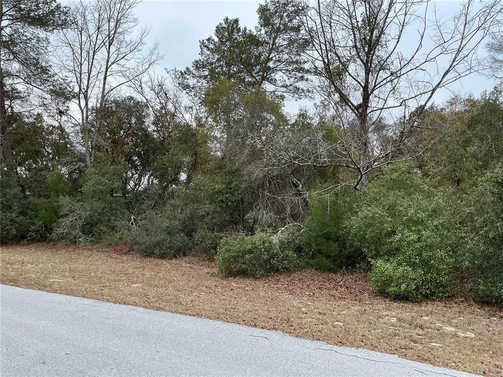 Photo of SW 137TH LOOP